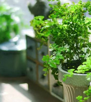 佳木斯专属于你的开运指南，助你鸿运当头福满身！